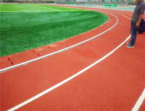 质量好的铝合金道牙 铝合金道牙 跑道道牙