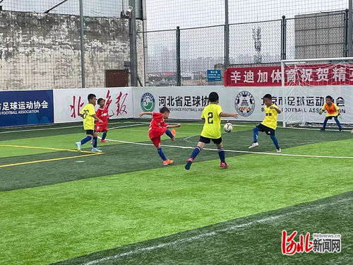 精英 辛迪加杯 青少年足球邀请赛在石家庄举行
