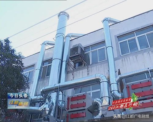 打赢环保 百日攻坚战 江都区武坚镇助推企业加快绿色发展
