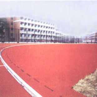 橡胶道牙在体育场地中的应用与优势