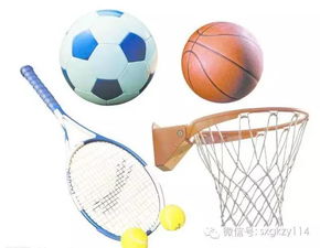 未来十年体育行业最赚钱的17大领域盘点