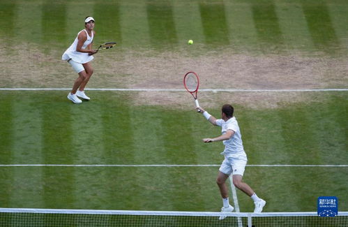 温网混双决赛落幕，斯库普斯基与克拉夫奇克携手夺冠