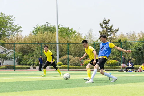 体育精神与文明同行 日照体育事业的高质量发展