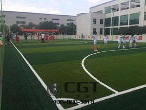 广州绿城拼装草公司 体育场地铺装高清大图鉴赏